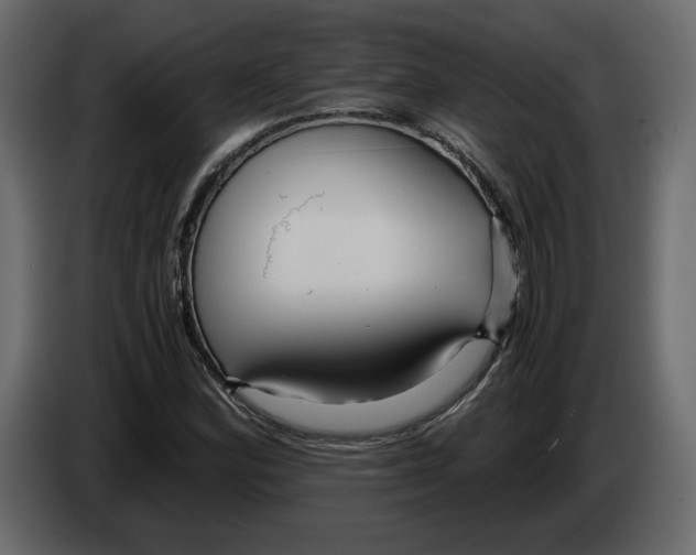 X0000084551164200703231730