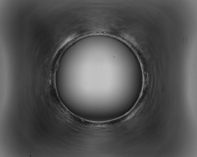 X0000084551165200703231730