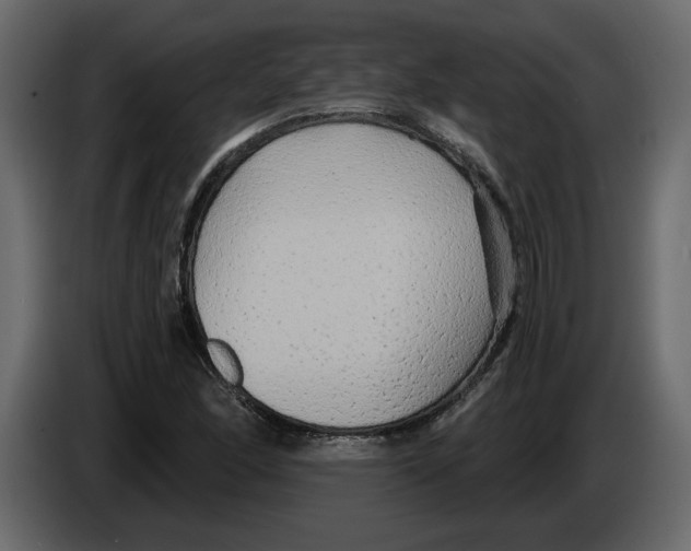 X0000084551166200703231730