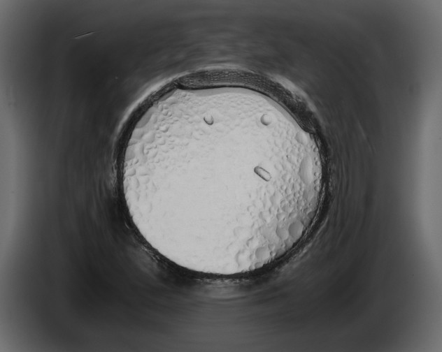 X0000084551167200703231730