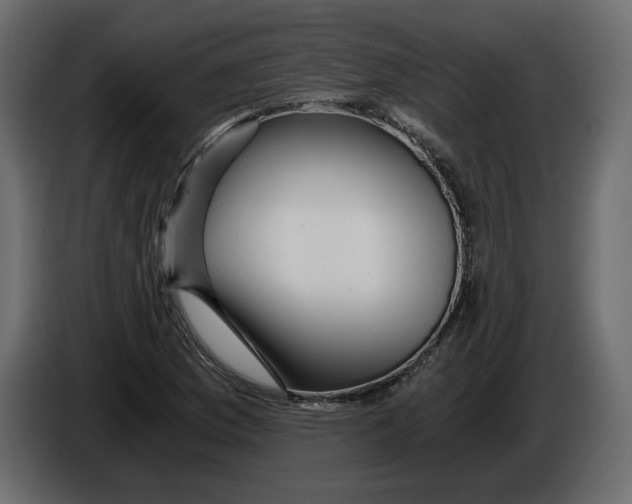 X0000084551169200703231730