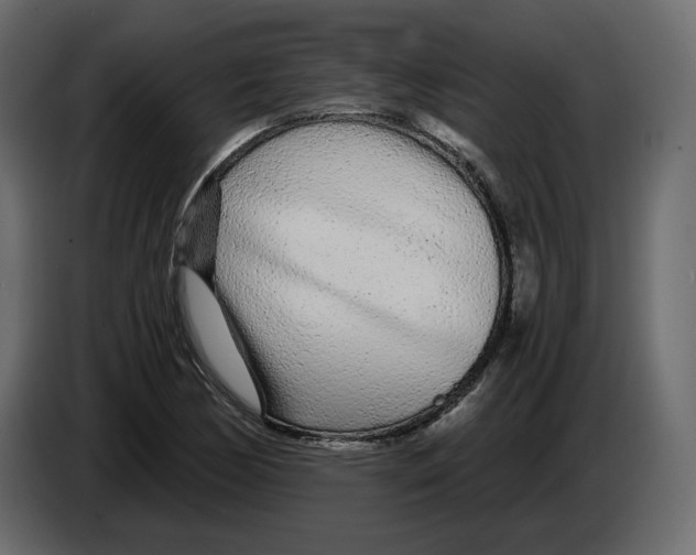 X0000084551170200703231730