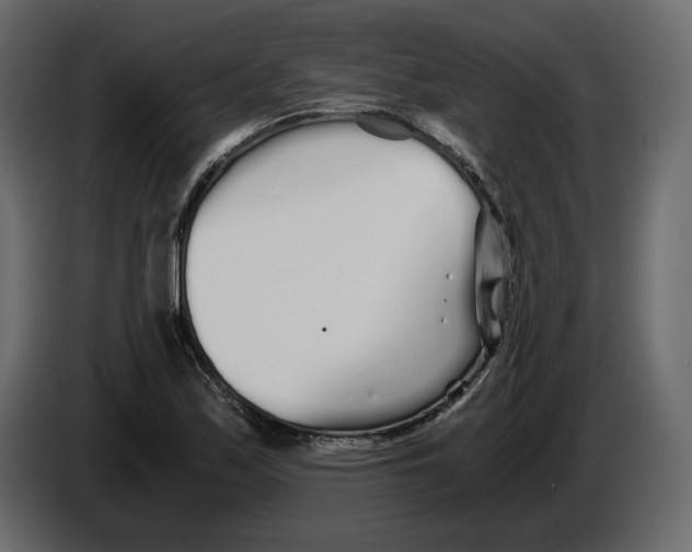 X0000084551171200703231730