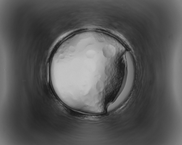 X0000084551175200703231730