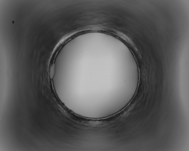 X0000084551176200703231730