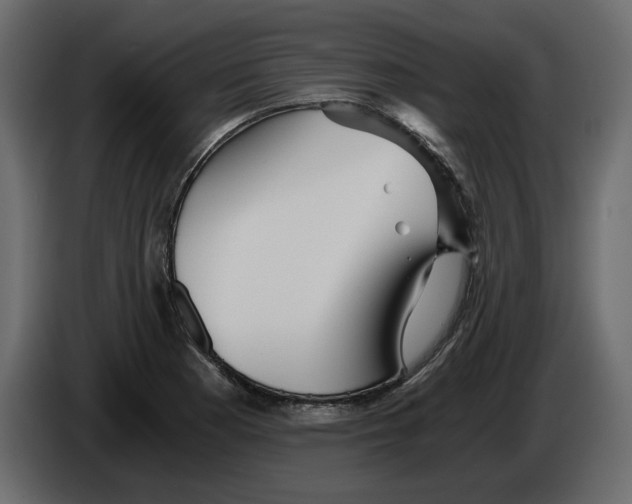 X0000084551177200703231730