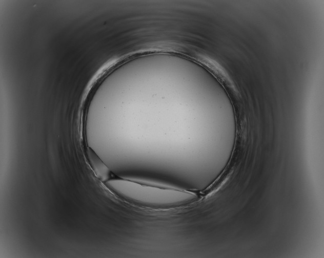 X0000084551180200703231730