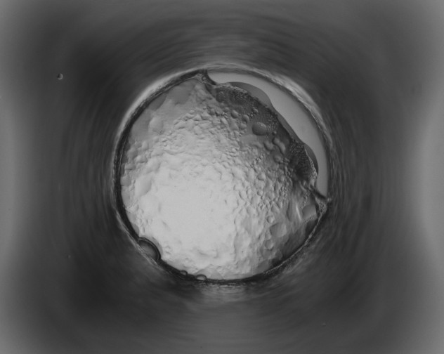 X0000084551183200703231730