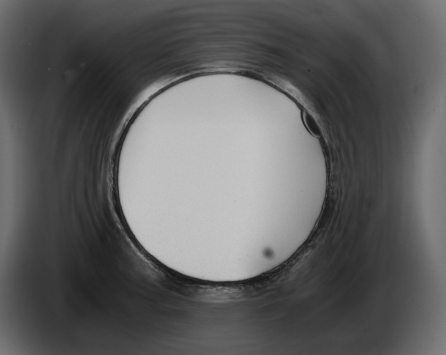 X0000084551187200703231730