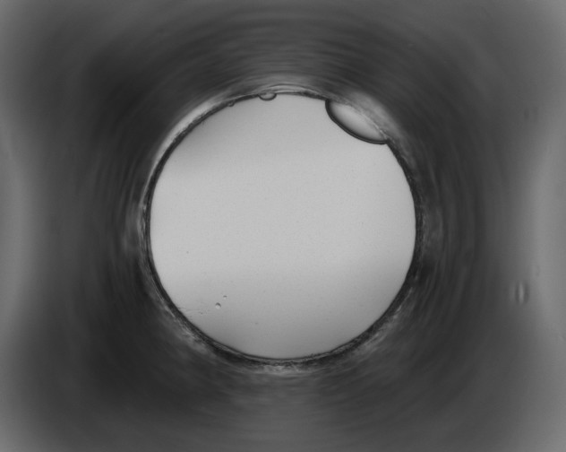 X0000084551190200703231729