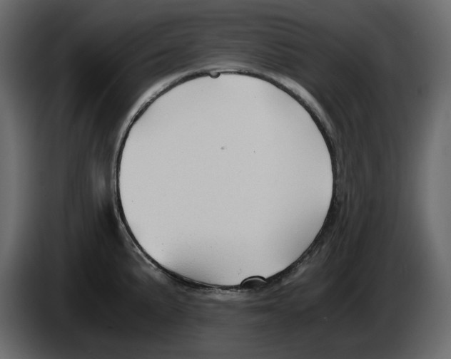 X0000084551191200703231729