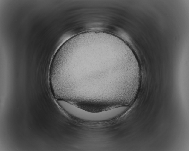 X0000084551194200703231729