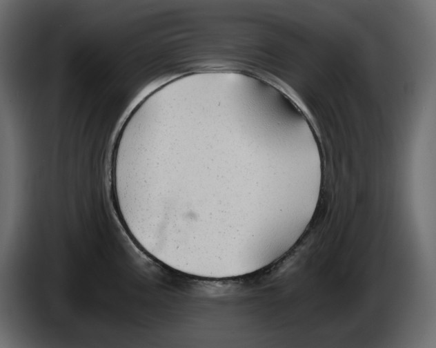 X0000084551195200703231729