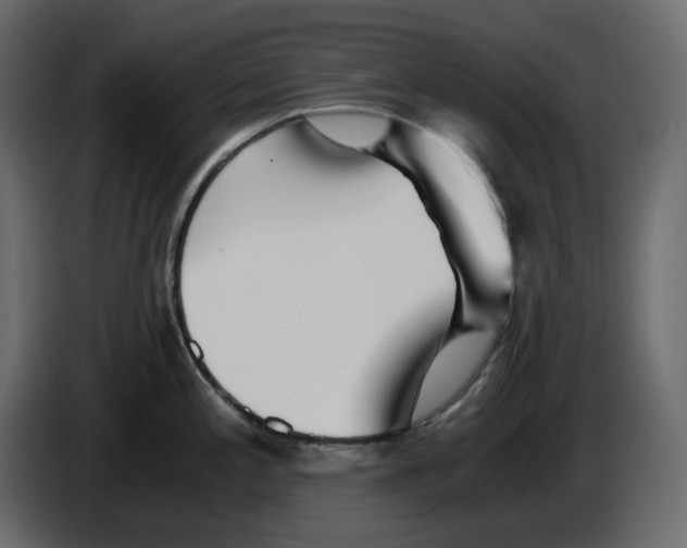 X0000084551197200703231729