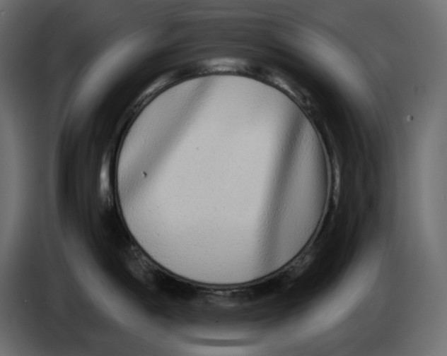 X0000084551198200703231729