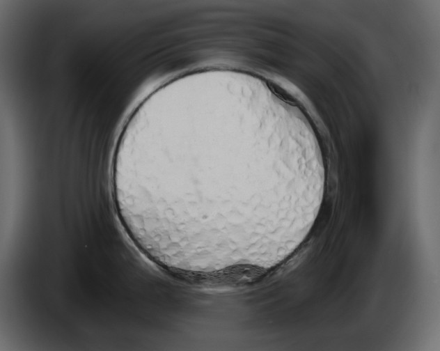 X0000084551199200703231729