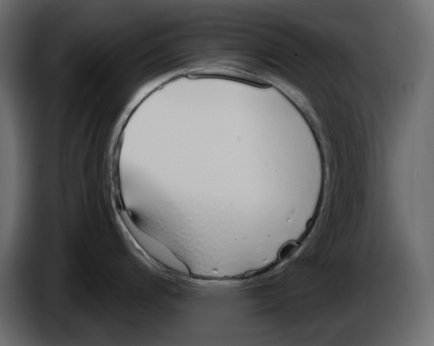 X0000084551200200703231729