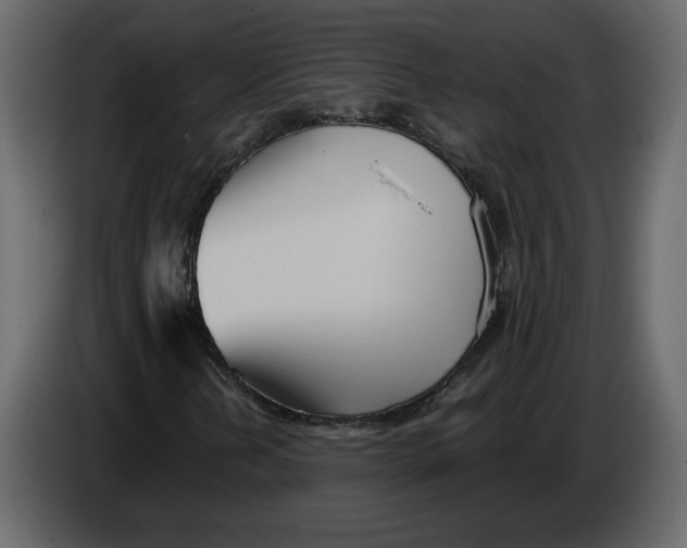 X0000084551202200703231729