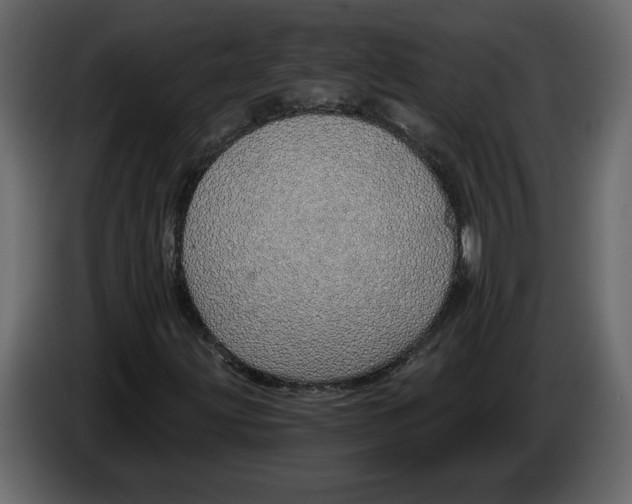 X0000084551203200703231729