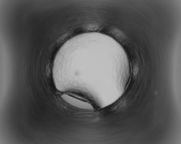 X0000084551204200703231729