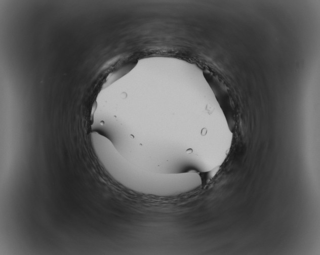 X0000084551206200703231729