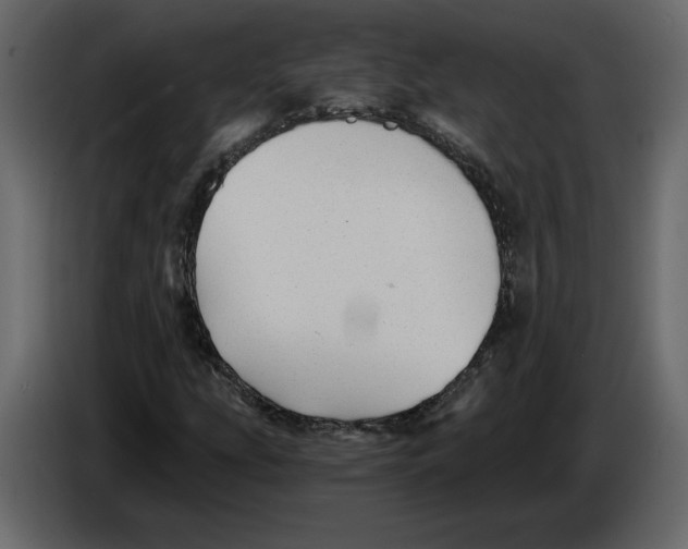 X0000084551207200703231729