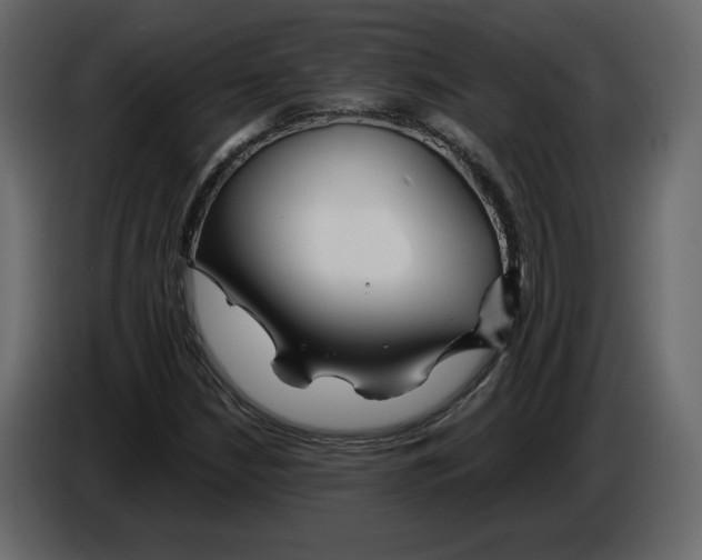 X0000084551210200703231729