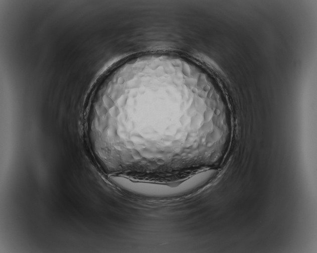 X0000084551212200703231729