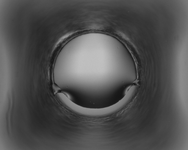 X0000084551214200703231729