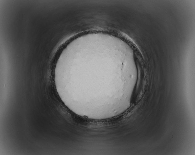 X0000084551215200703231729