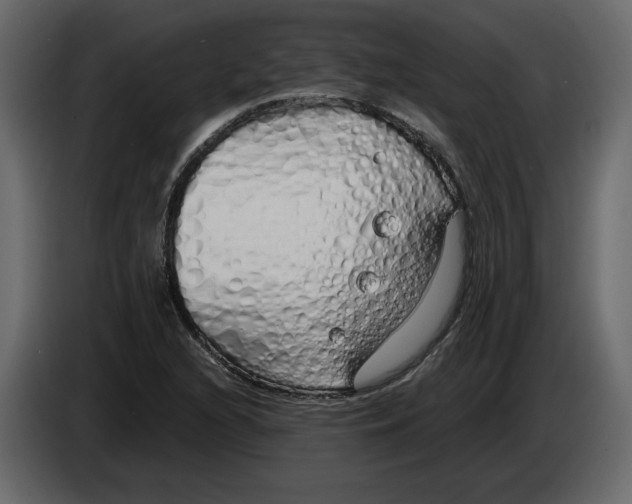 X0000084551216200703231729