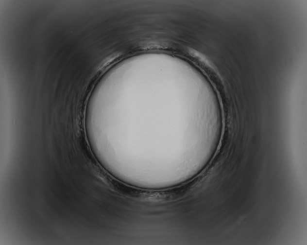 X0000084551217200703231729