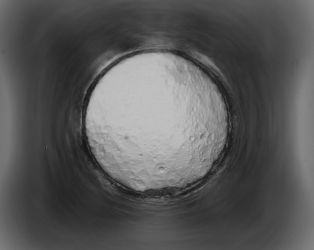 X0000084551220200703231729