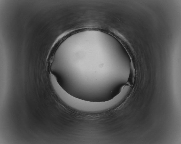 X0000084551222200703231729