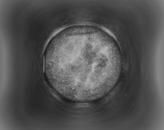 X0000084551223200703231729