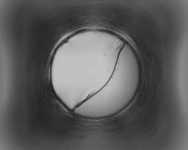 X0000084551224200703231729