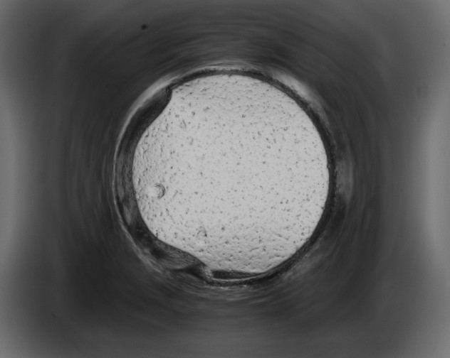 X0000084551229200703231729