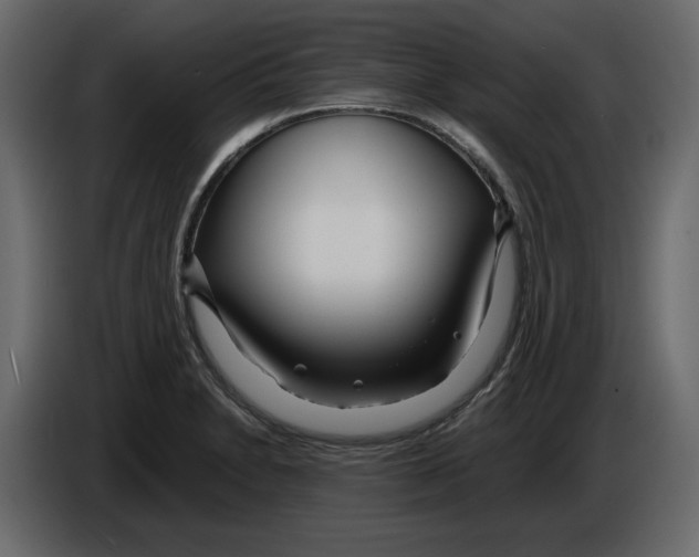 X0000084551230200703231729