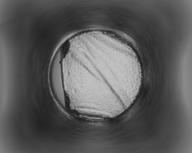 X0000084551231200703231729