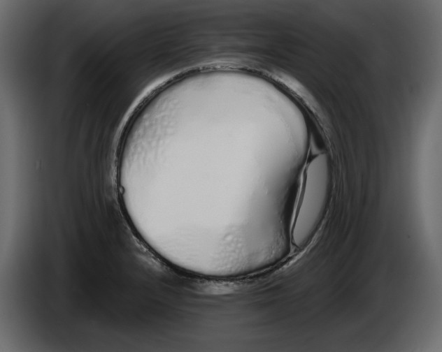 X0000084551232200703231729