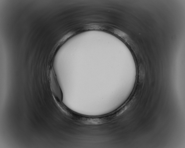 X0000084551233200703231729