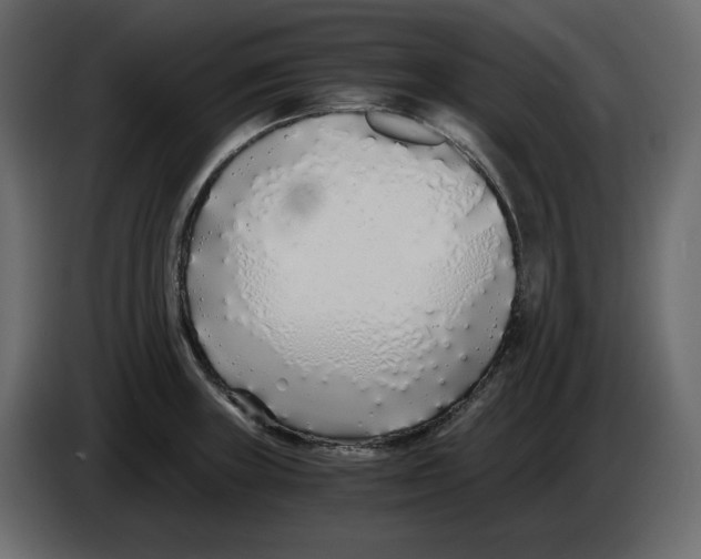 X0000084551235200703231729