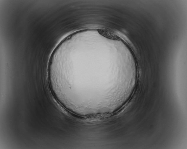 X0000084551236200703231729