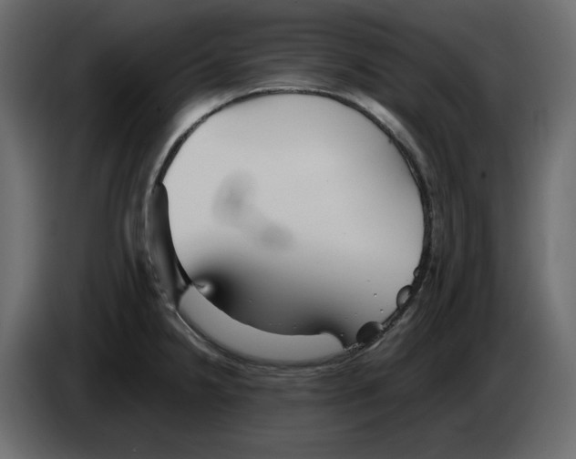 X0000084551238200703231729