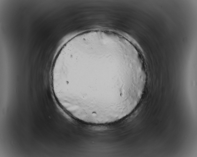 X0000084551239200703231729