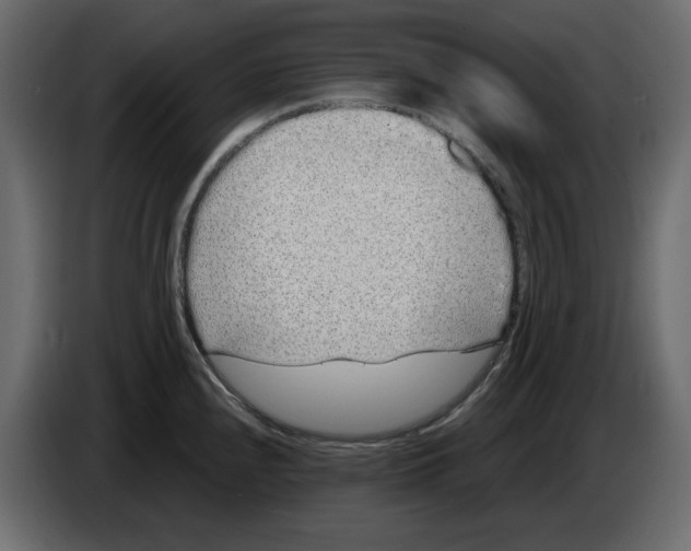 X0000084551240200703231729