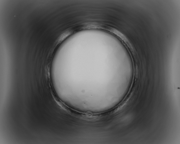 X0000084551241200703231729