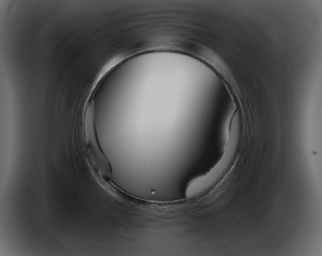 X0000084551242200703231729