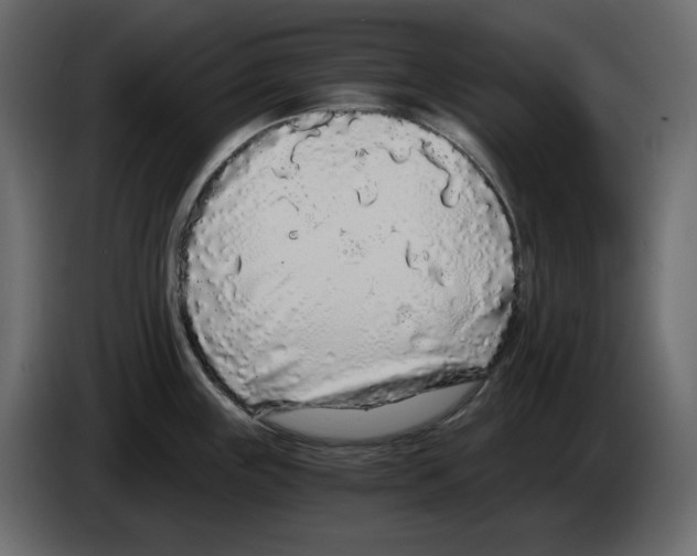 X0000084551243200703231729