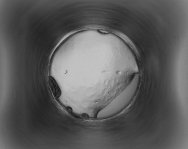 X0000084551244200703231729